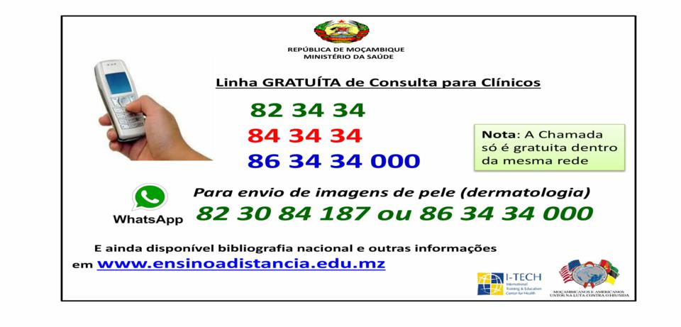 Random Penguin Photo